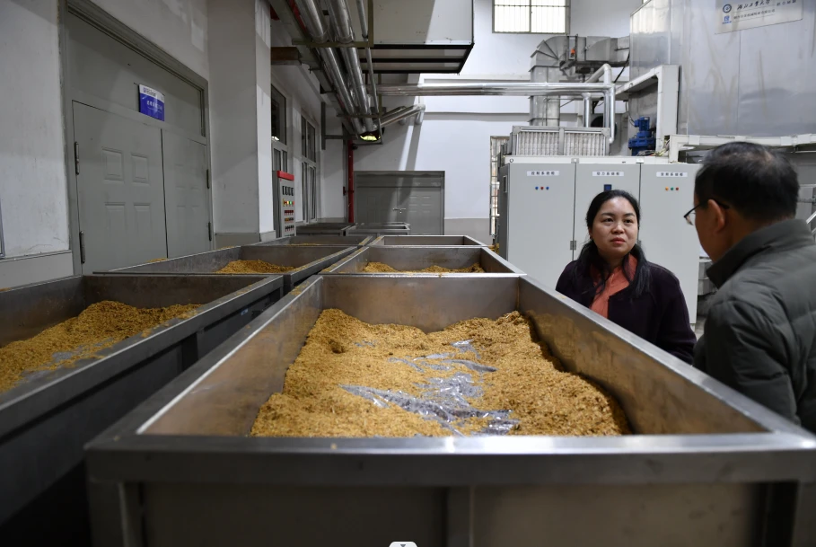 大學里的隱藏的全能釀酒工廠--訪湖北工業大學釀酒中試基地